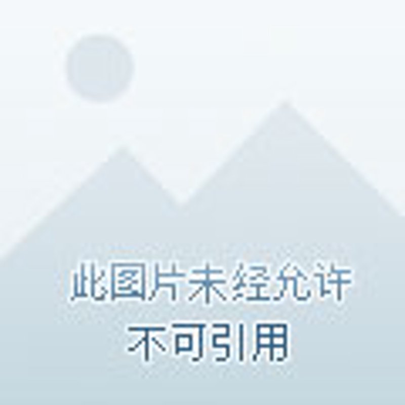 中江县在线 vs 纸质公告：谁更胜一筹？